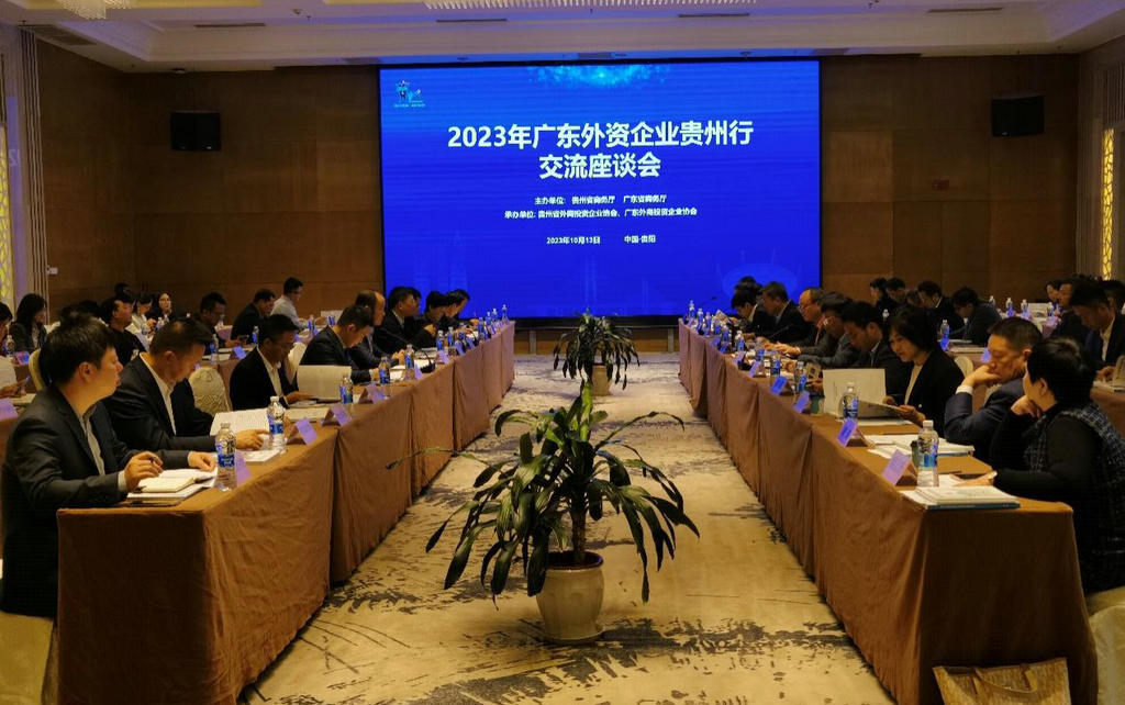 我会组织广东（外资）企业赴贵州开展经贸交流考察活动 (6).jpg