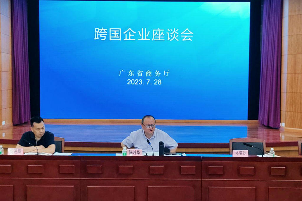 我会跨国企业工作委员会成员应邀出席省厅召开的跨国企业座谈会 (2).jpg
