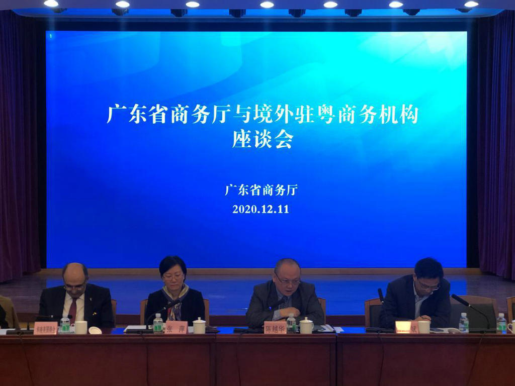 我会出席广东省境外驻粤商务机构座谈会 (1).jpg
