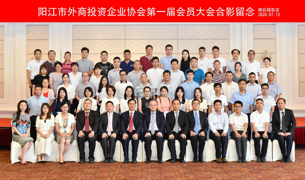 阳江市外商投资企业协会成立 (4).jpg