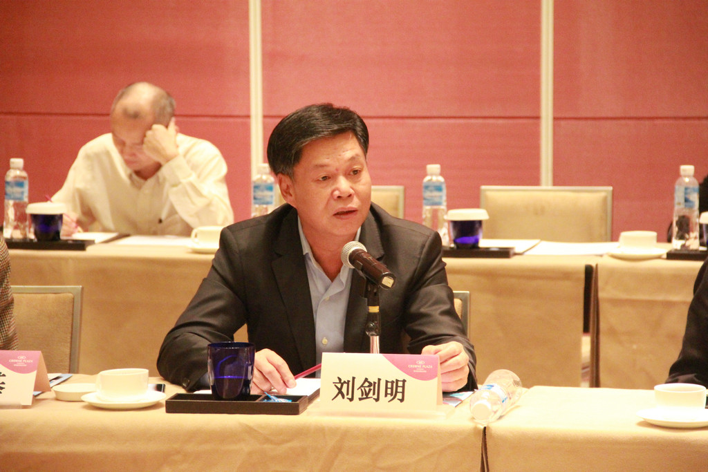 副会长们在座谈会上踊跃发言4.JPG